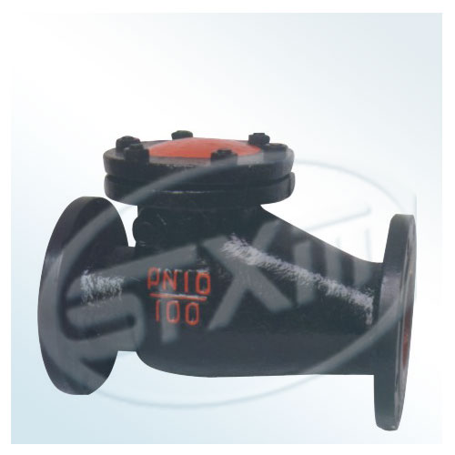 Cast iron check valve